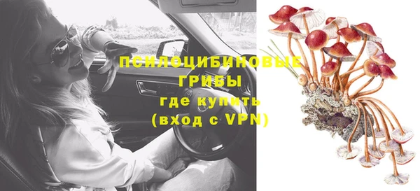 круглые Аркадак