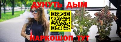 кокаин Гатчина