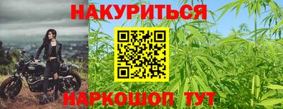 дурь Гай
