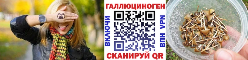 Галлюциногенные грибы прущие грибы  Лесосибирск 