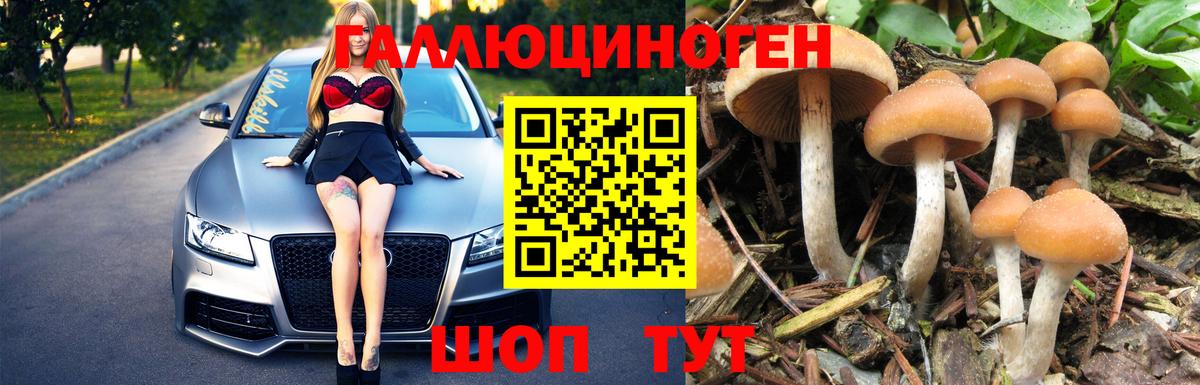 Псилоцибиновые грибы MAGIC MUSHROOMS  Лесосибирск 