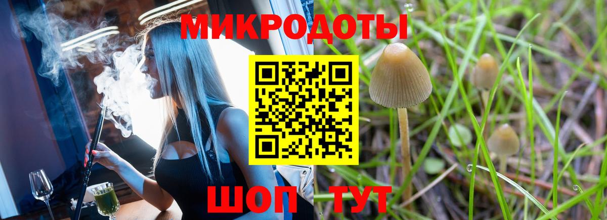 Галлюциногенные грибы мицелий Лесосибирск