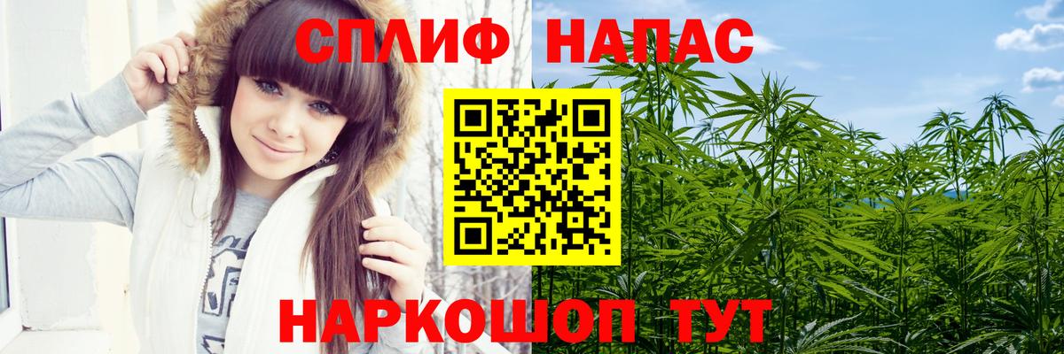 МАРИХУАНА конопля  Канабис сатива  Вход с VPN  Лесосибирск 
