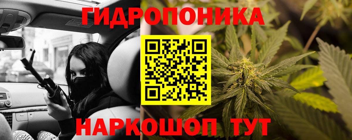 МЕФ Лесосибирск